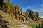 Anello del PIZZO BADILE (2044 m) da Piazzatorre il 21 ottobre 2017 - FOTOGALLERY